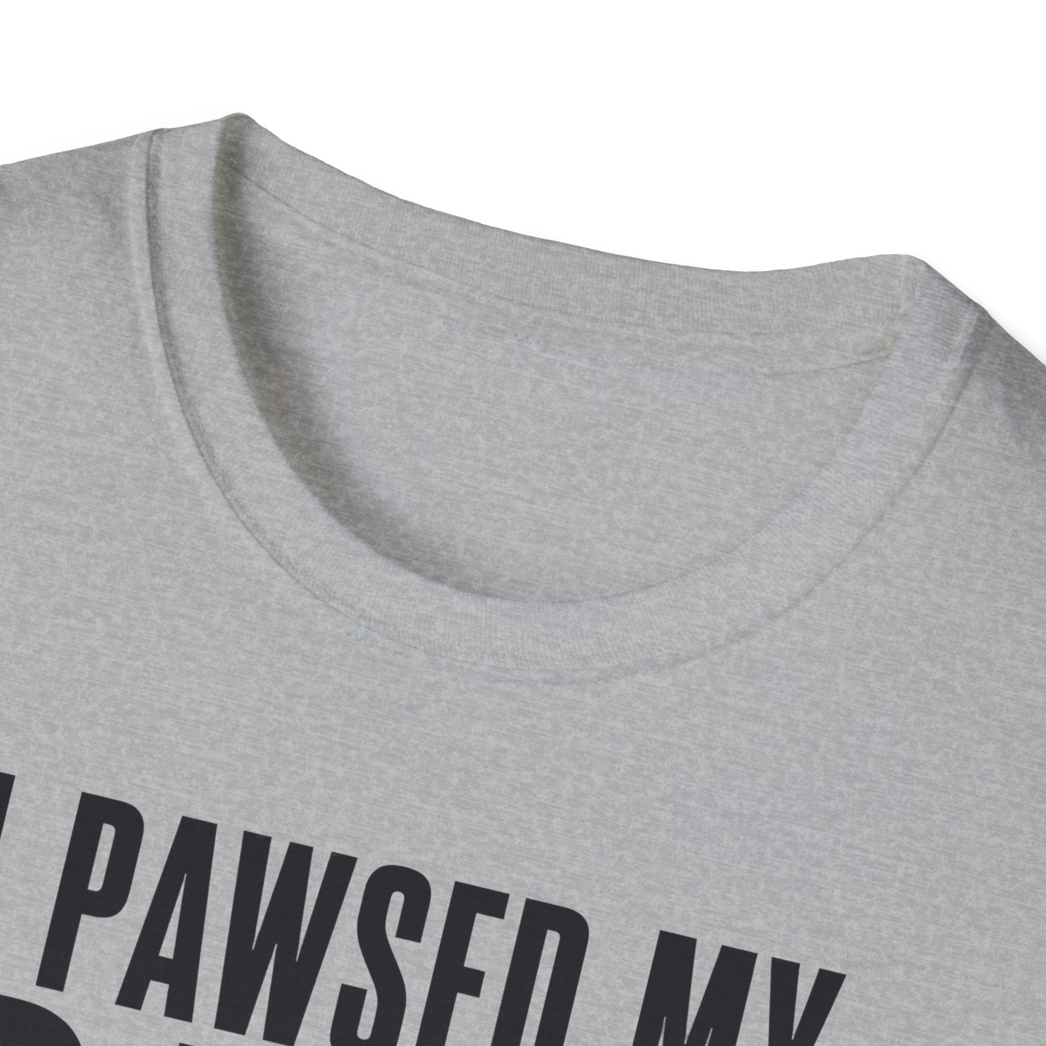 I Pawsed My Game For The Cat T-shirt