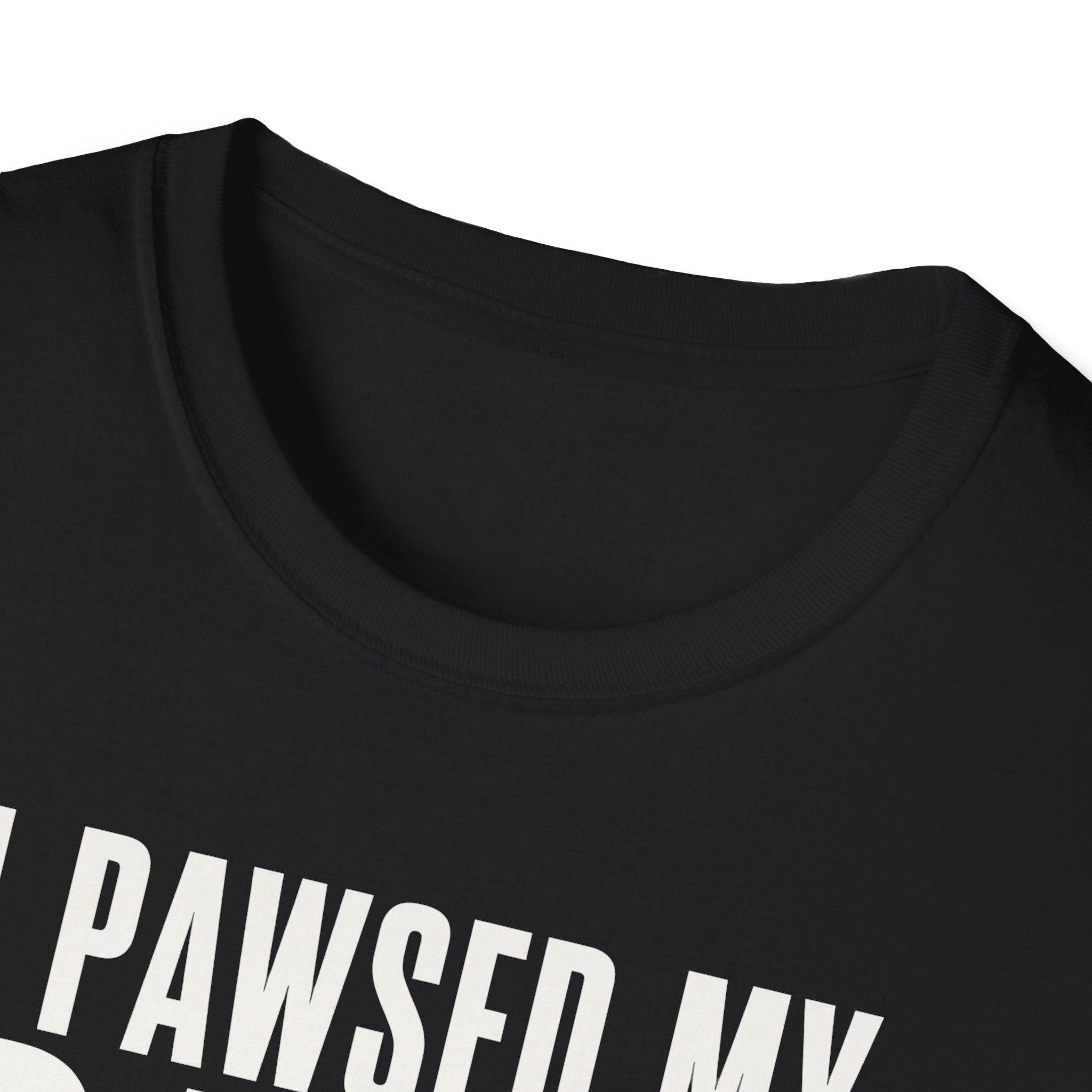I Pawsed My Game For The Cat T-shirt