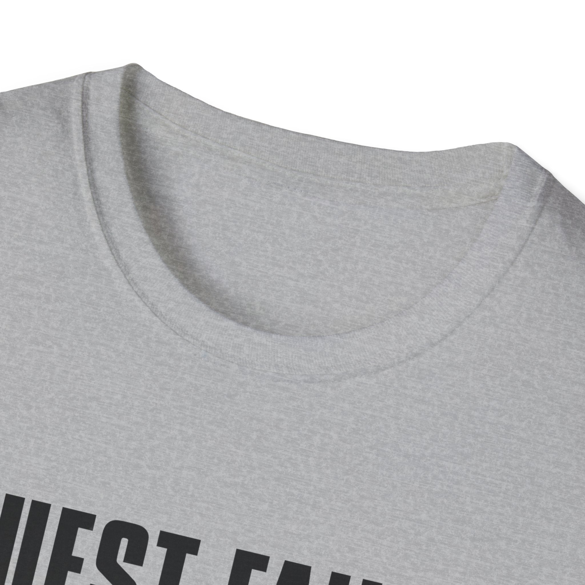 Quest Failed - Cat Said No T-shirt