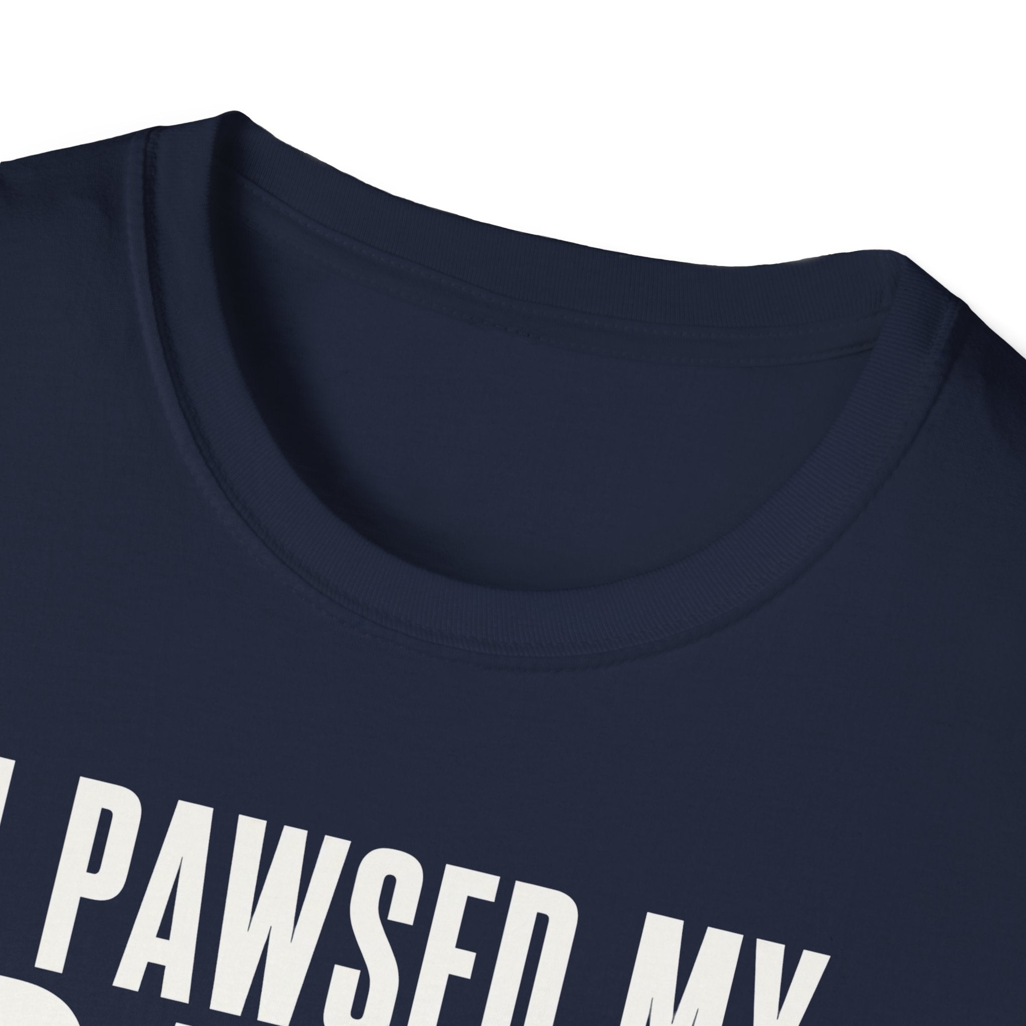 I Pawsed My Game For The Cat T-shirt
